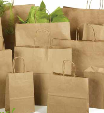 Paper Shopping Bags- Kraft