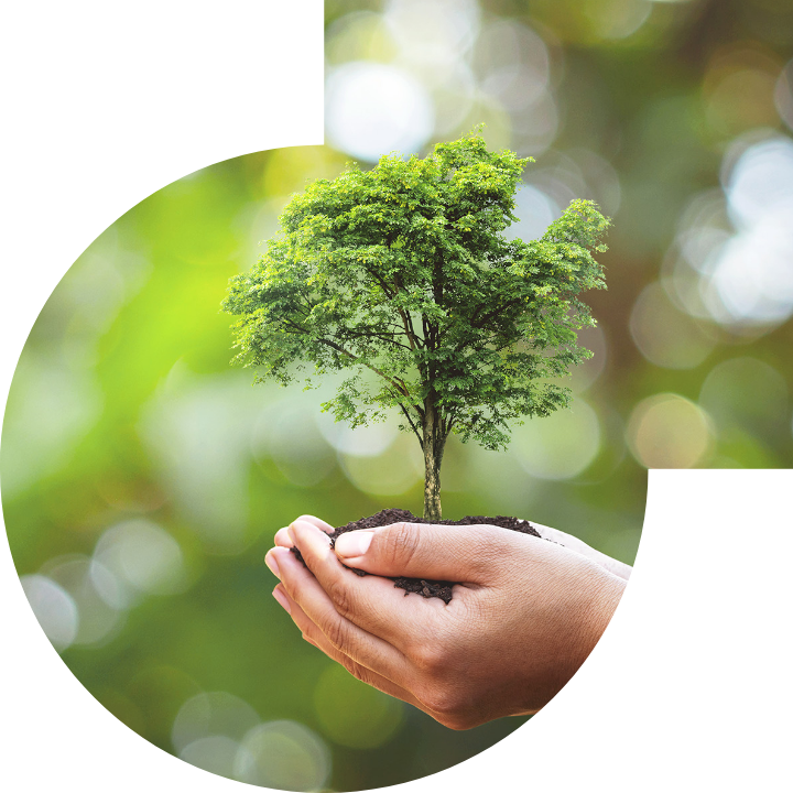 关怀人类、文化、环境与社会